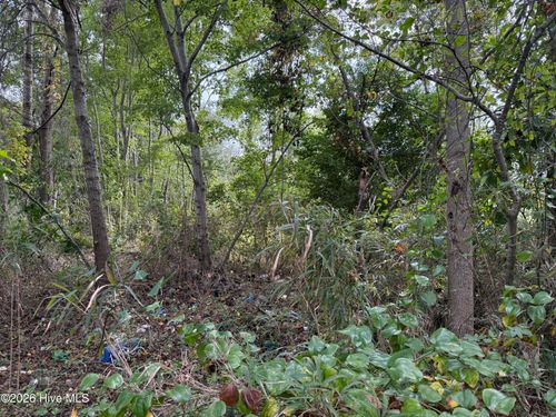 Parcel A Haywood Smith Road, Hertford, NC, 27944 | Card Image