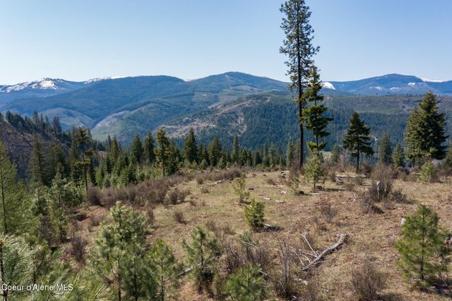 262 North Side Road, Home with 0 bedrooms, 0 bathrooms and null parking in Calder ID | Image 71