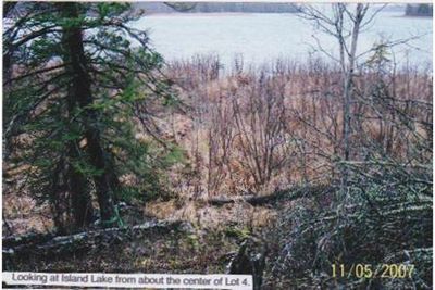 Island Lake Lot 4.jpeg | Image 1