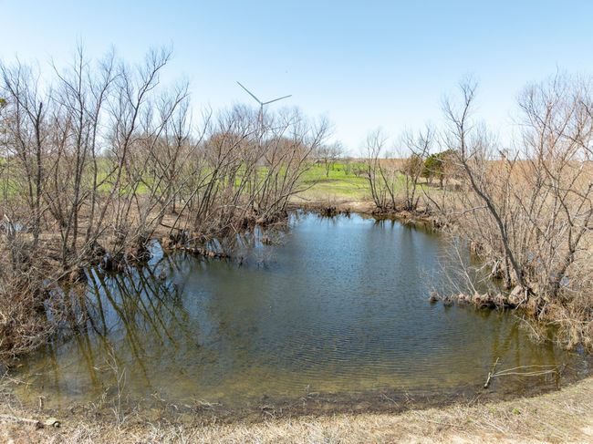 1817 Lcr 182, House other with 3 bedrooms, 3 bathrooms and null parking in Coolidge TX | Image 34