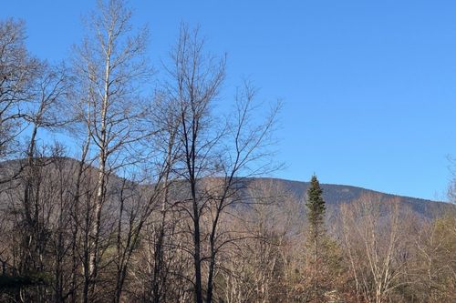Lot 21 Sunderland Hill Rd, Sunderland, VT, 05250 | Card Image