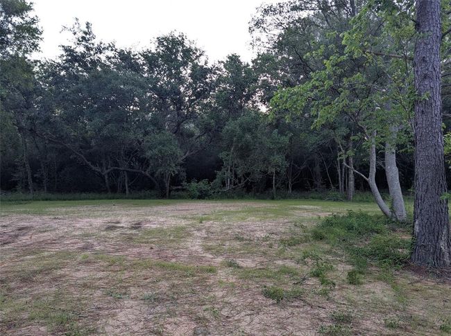 Small clearing looking north east. | Image 16