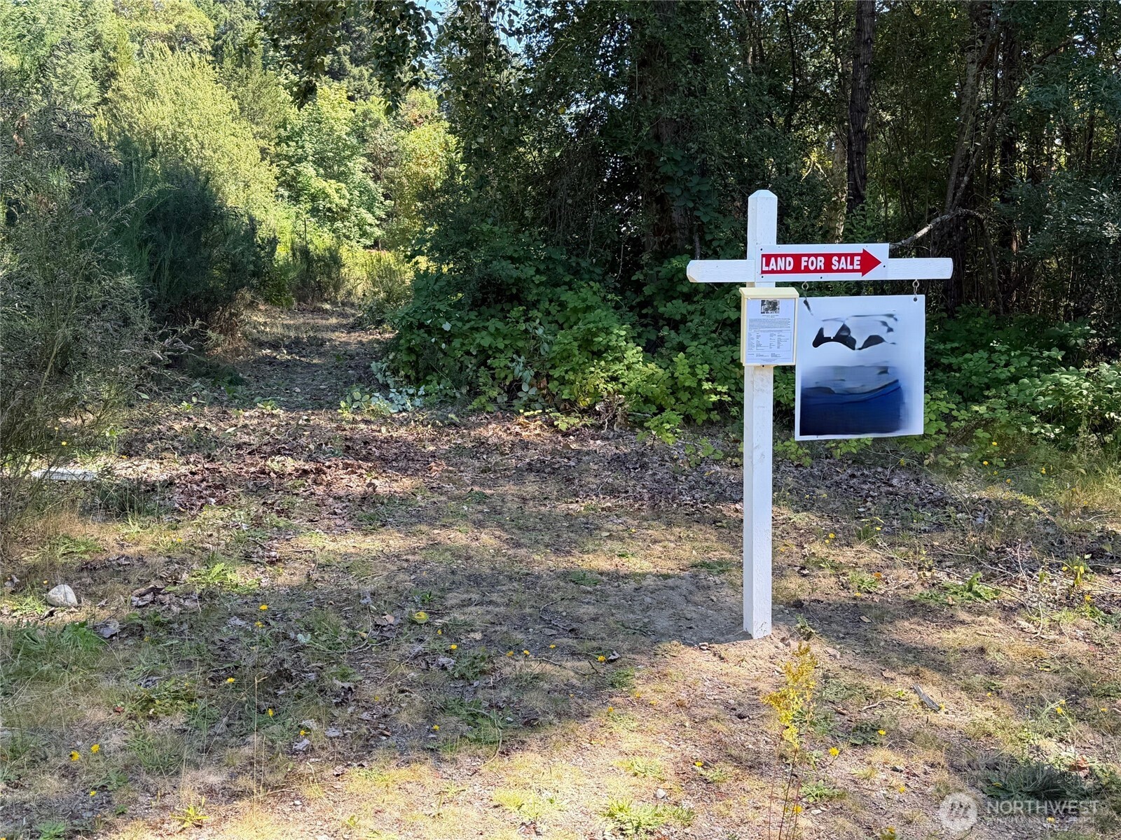 Land in Gig Harbor 3