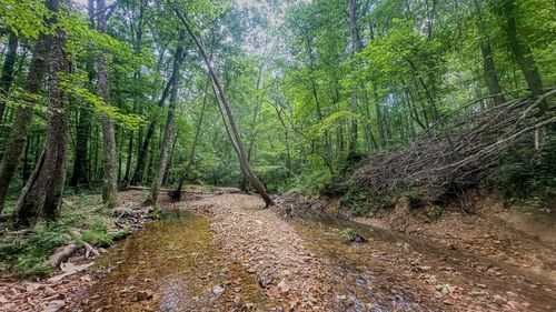 0 Coxburg Rd N, Holladay, TN, 38341 | Card Image