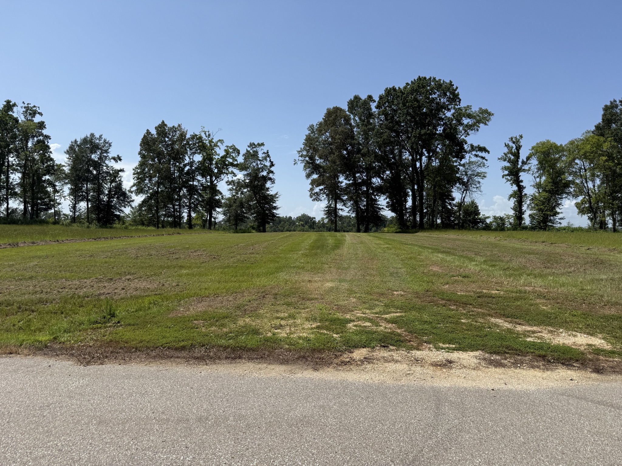 Land in Savannah 5