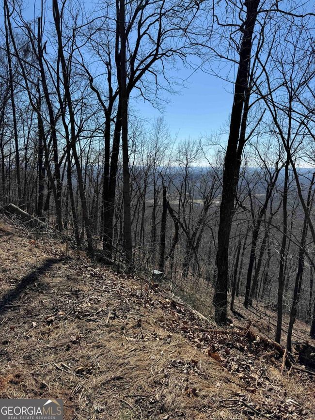 7349 Starlight Ln, Home with 0 bedrooms, 0 bathrooms and null parking in Jasper GA | Image 17