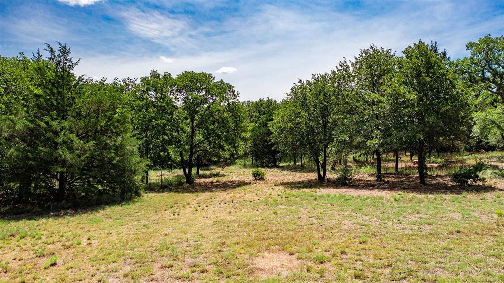 Land in Alvord 2