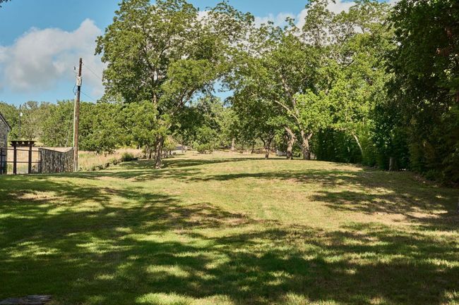 View of green lawn | Image 15