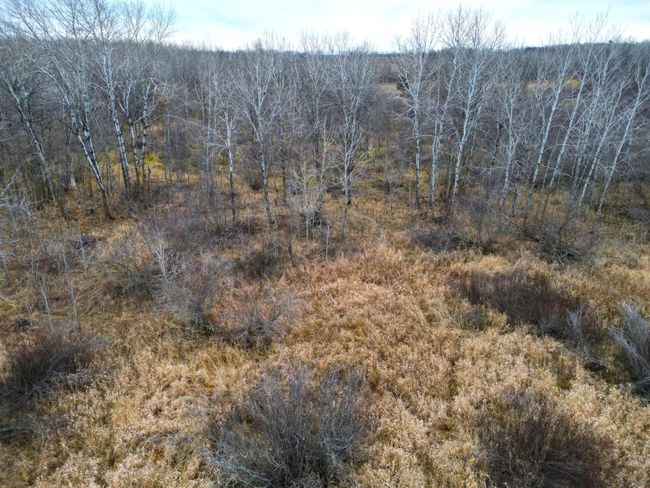 DJI_0402.JPG | Image 47