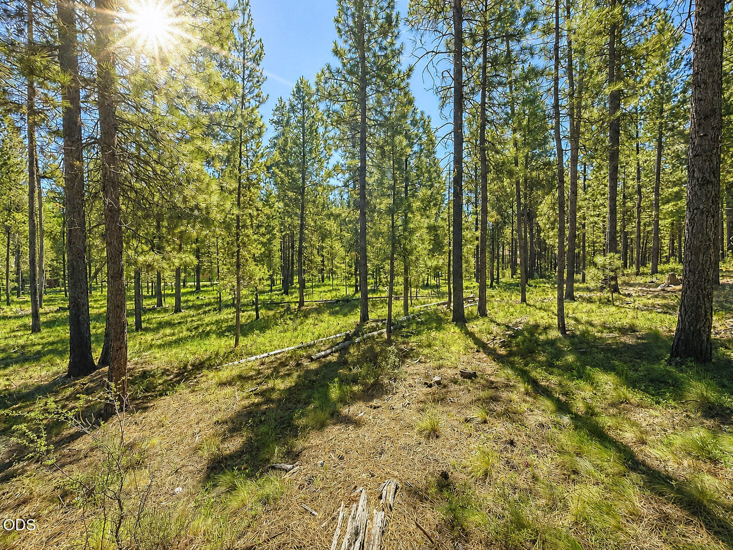 Land in Bend 2