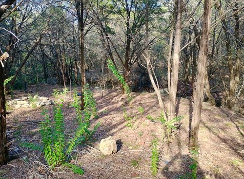 3633 Flint Rock Cir, Granbury, TX, 76048-5965 | Card Image