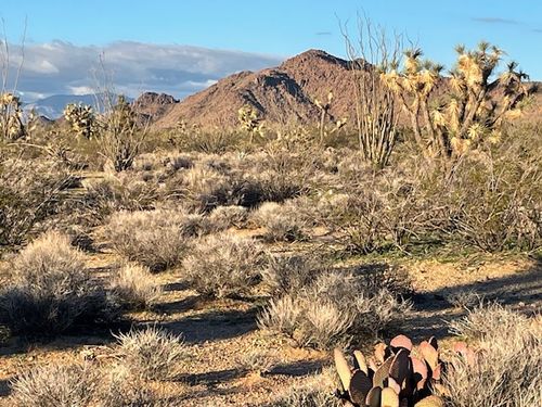 2872 S John Wayne Rd, Yucca, AZ, 86438 | Card Image