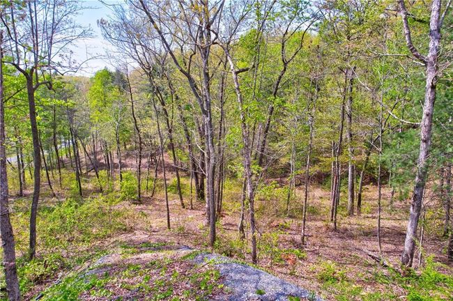 1 Jakes Landing Way N, Home with 0 bedrooms, 0 bathrooms and null parking in Ellijay GA | Image 8