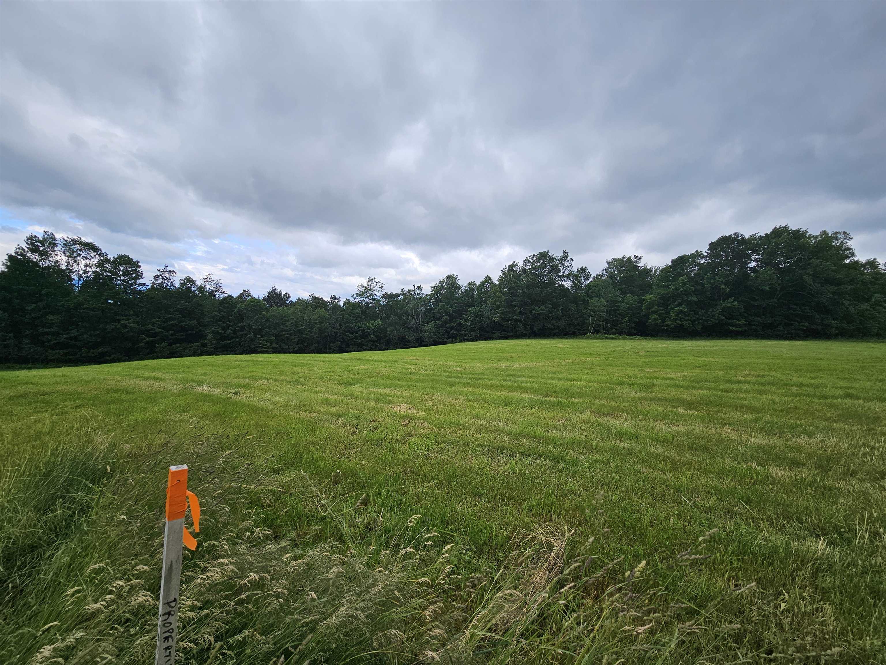 Land in Hyde Park 3