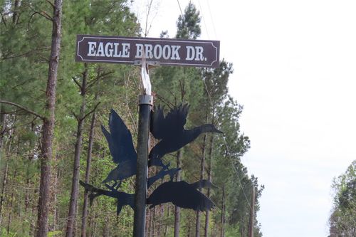 0 Eagle Rd, Lewisville, AR, 71845 | Card Image