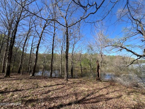 1240 Strike King Dr, Cedar Grove, TN, 38321 | Card Image