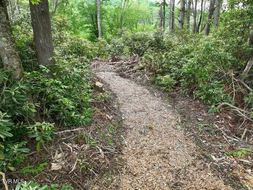 1772 Ripshin Mountain Rd, Roan Mountain, TN, 37687-3758 | Card Image