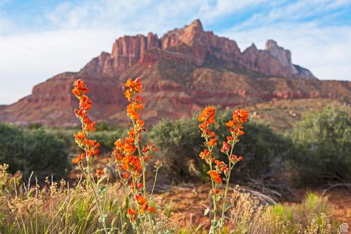 58-2538 Anasazi Way, Springdale, UT, 84767-7738 | Card Image