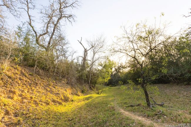 343 Batey Rd, Home with 3 bedrooms, 2 bathrooms and null parking in Nixon TX | Image 43