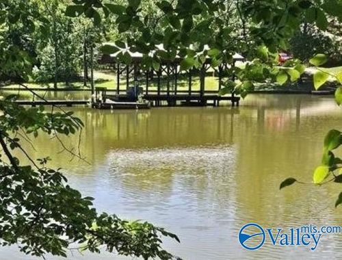 Lot 68 County Road 608, Cedar Bluff, AL, 35959-2548 | Card Image