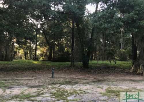 Lot 423 Coopers Landing Drive, Townsend, GA, 31331 | Card Image