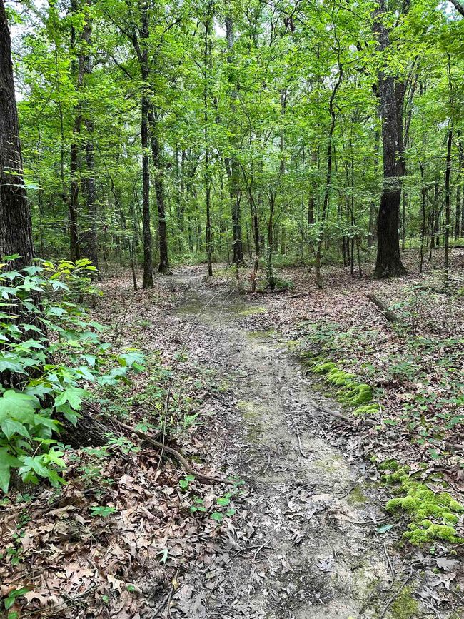 000 Oak Dale Rd, Home with 0 bedrooms, 0 bathrooms and null parking in Lonoke AR | Image 27