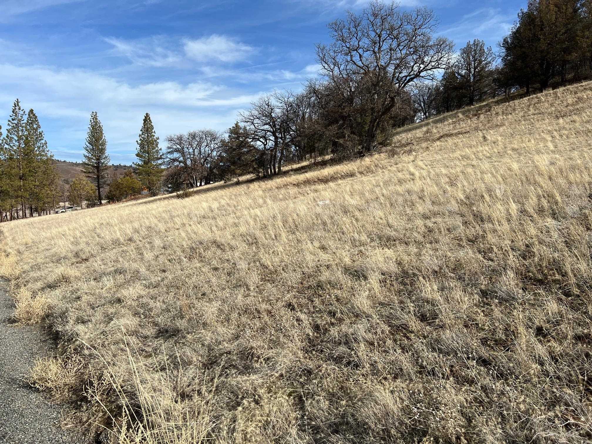Land in Montague 3