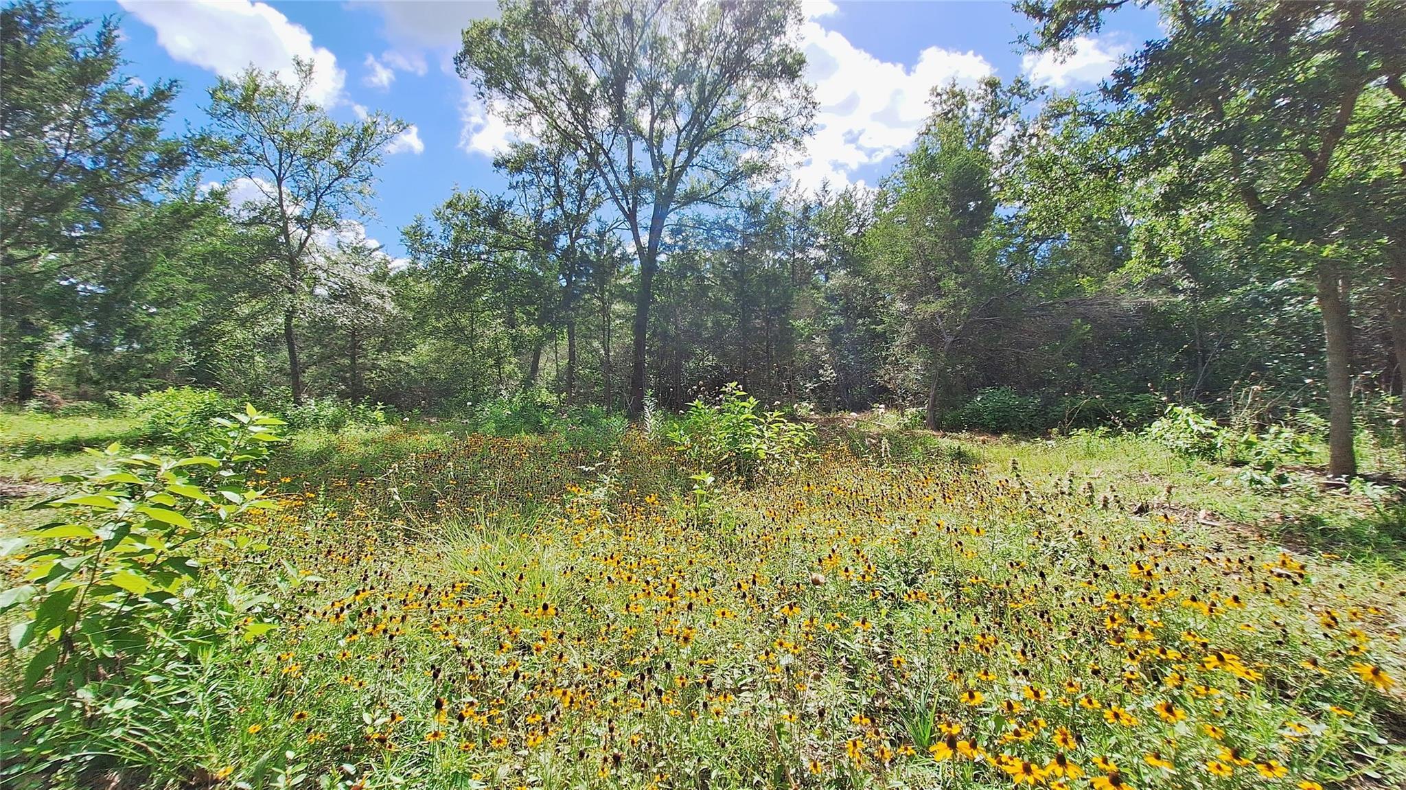 Land in Caldwell 2
