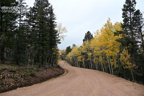 1020 Princess Road, Cripple Creek, CO, 80813 | Card Image