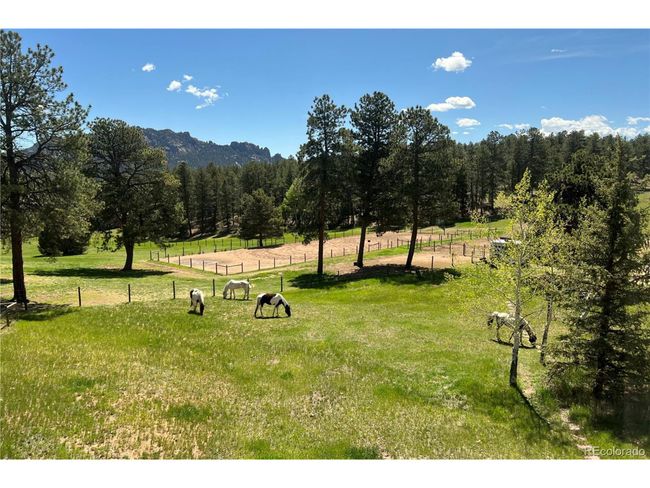 21505 Spring Creek Rd, House other with 3 bedrooms, 3 bathrooms and null parking in Buffalo Creek CO | Image 49
