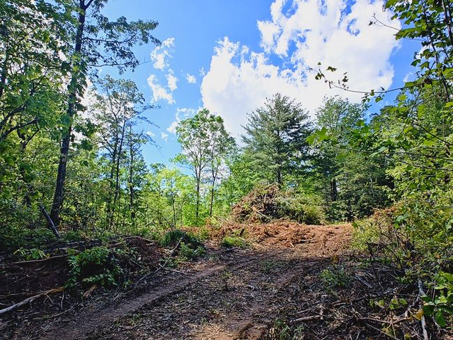 Lot 4 Megan Trace Ln, Home with 0 bedrooms, 0 bathrooms and null parking in Turtletown TN | Image 25