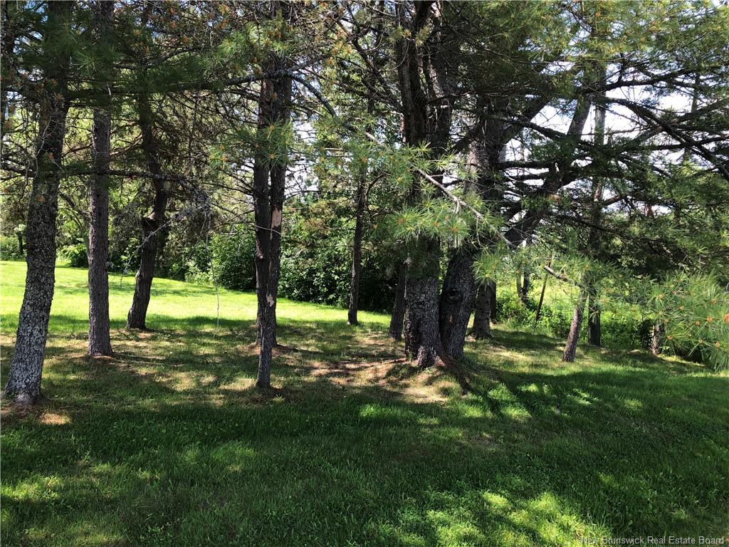 Land in Colpitts Settlement 4