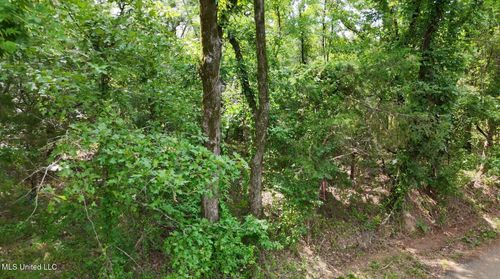 0 Chapel Hill Rd, Utica, MS, 39175 | Card Image