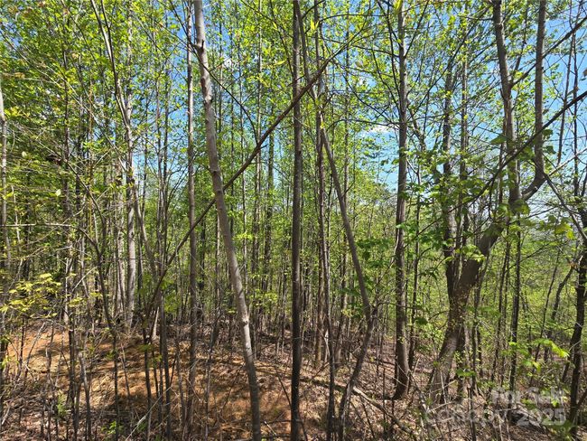 Lot 24 High Rock Rdg, Home with 0 bedrooms, 0 bathrooms and null parking in Lake Lure NC | Image 12