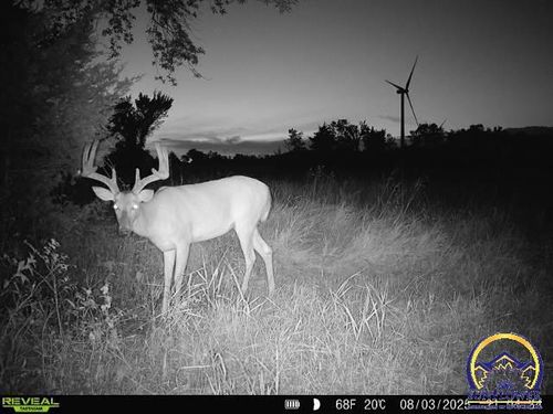 east-of-planter-and-23rd-rd-000 23rd Rd, Waverly, KS, 66871 | Card Image