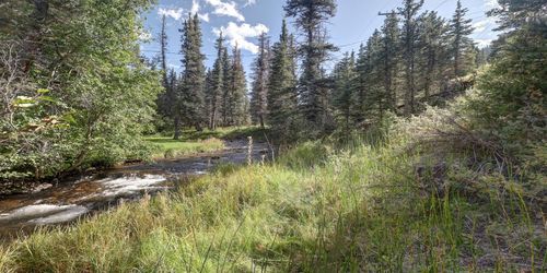 58 Valley Of The Pines, Red River, NM, 87558 | Card Image