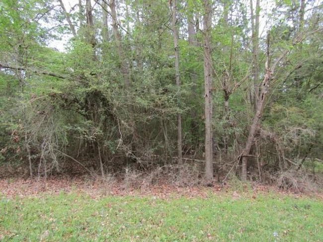 13 Moose Dr, Home with 0 bedrooms, 0 bathrooms and null parking in Onalaska TX | Image 25