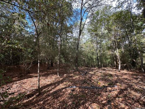 467 Jape Massingill Ln, Diboll, TX, 75941 | Card Image