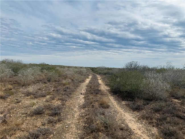 9156 Tx 339, Home with 0 bedrooms, 0 bathrooms and null parking in Freer TX | Image 4