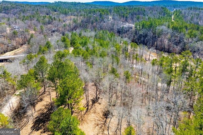 0 County Road 269, Home with 0 bedrooms, 0 bathrooms and null parking in Wedowee AL | Image 26