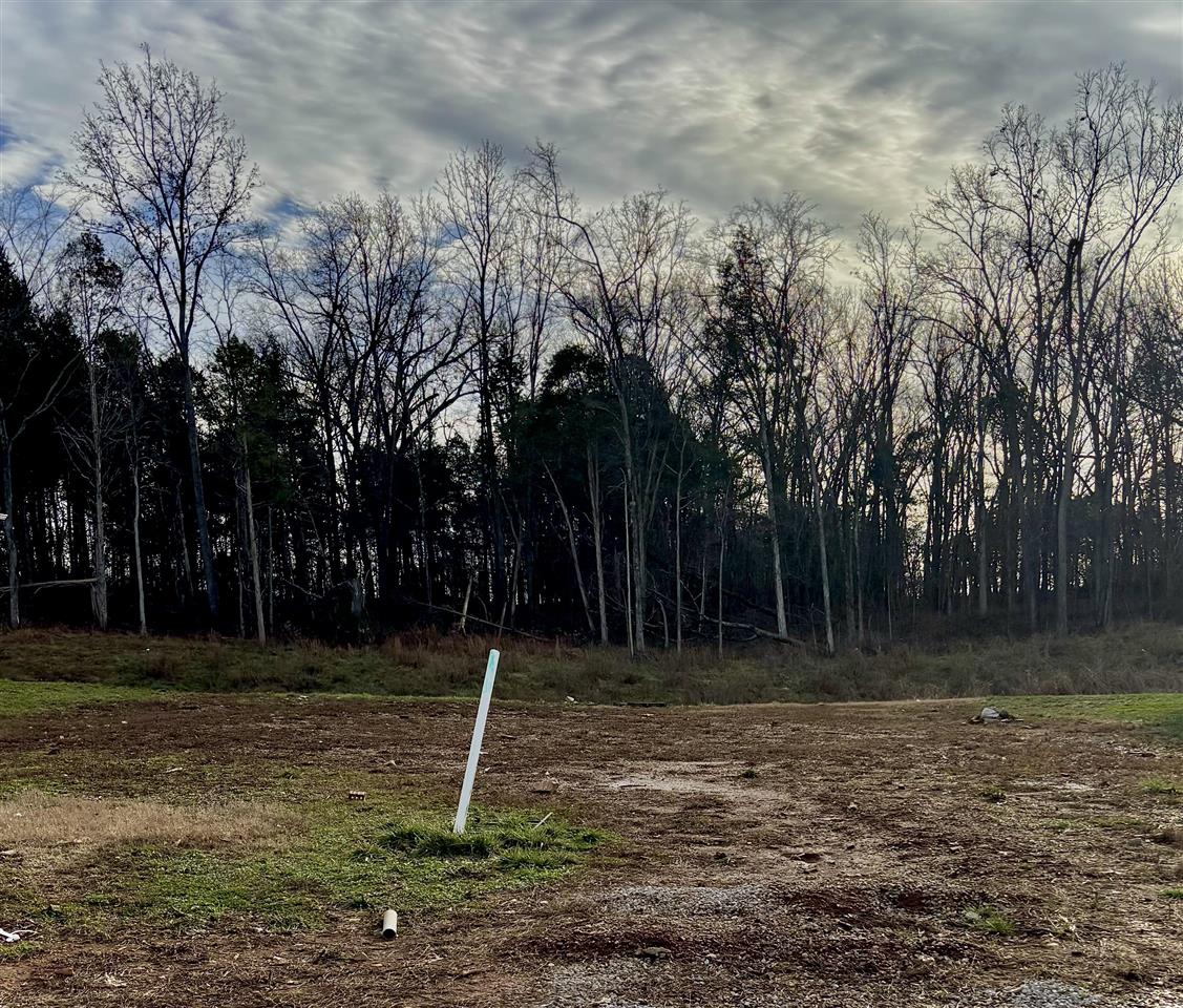 Land in Bowling Green 2