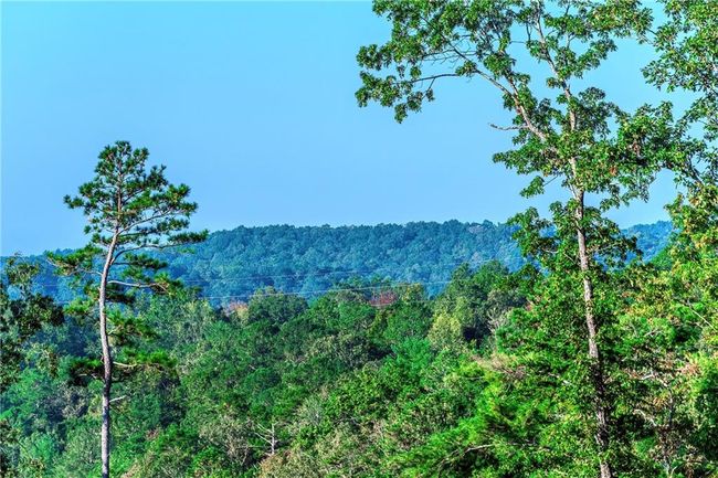 50 Jakes Landing Way S, Home with 0 bedrooms, 0 bathrooms and null parking in Ellijay GA | Image 16