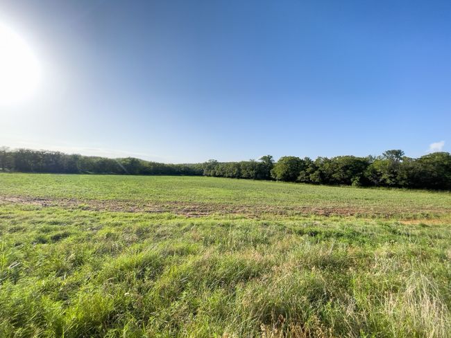 View of undeveloped land with rural landscape | Image 22