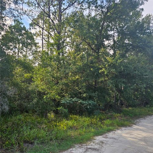 4532 N Mitchum Pt, Crystal River, FL, 34428-8465 | Card Image