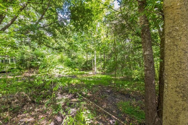0 Davis Bend Rd, Home with 0 bedrooms, 0 bathrooms and null parking in Alvin TX | Image 26