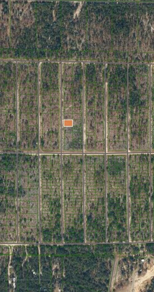 Lot 33 and 34 Iowa Avenue, Hawthorne, FL, 32640 | Card Image