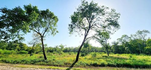 0 Baldwin Drive, Hungerford, TX, 77448 | Card Image