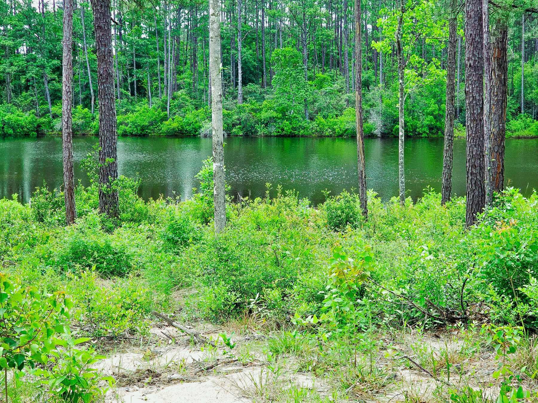 Land in DeFuniak Springs 2
