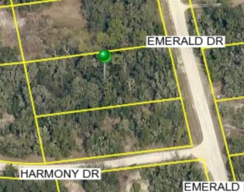 0 Emerald Drive, RIDGE MANOR, FL, 33523 | Card Image