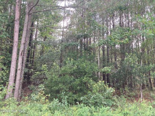 33-Lot # 33 Pinecrest Rd, Bath, NC, 27808 | Card Image